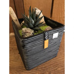 montage-pot-carre-3999