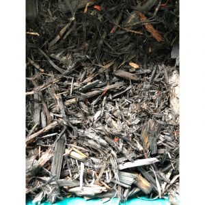 paillis-de-cedre-noir