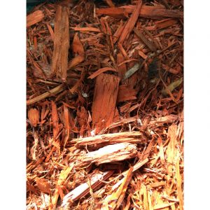 paillis-de-cedre-rouge