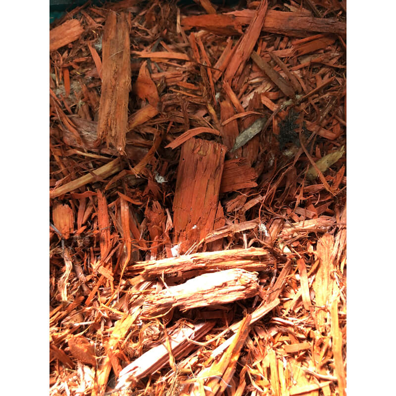 paillis-de-cedre-rouge