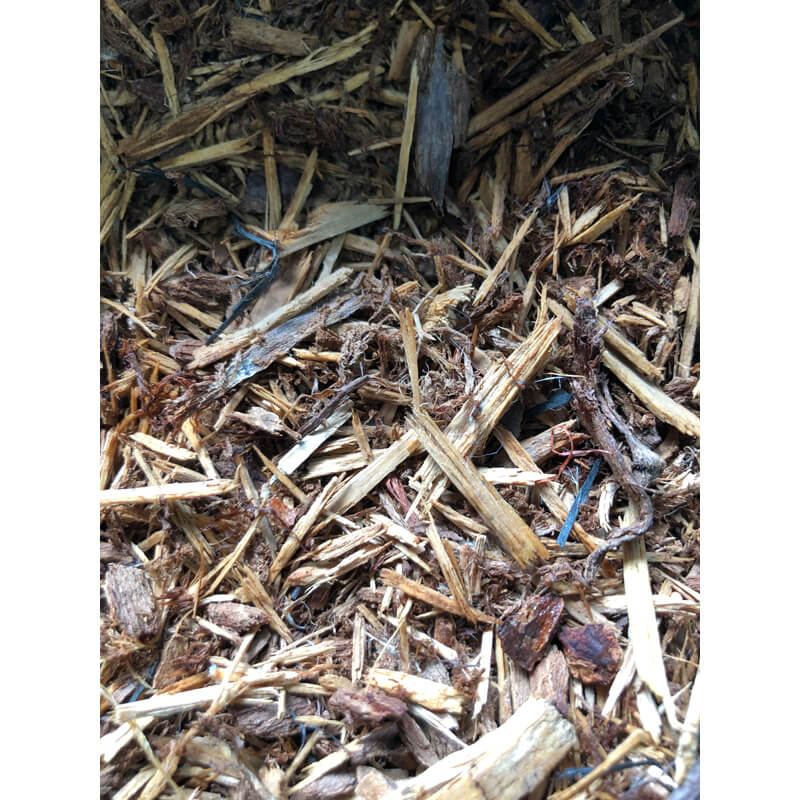 paillis-de-pruche