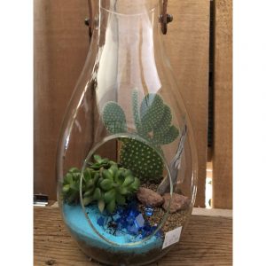 terrarium-avec-ganse-en-cuir-5299