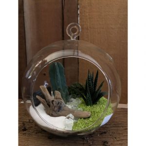 terrarium-globe-moyen-3799