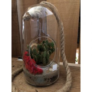 terrarium-globe-ovale-avec-cordon-4599