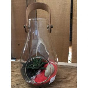 terrarium-lanterne-avec-ganse-3799