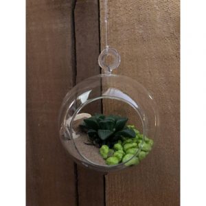 terrarium-mini-globe-2799