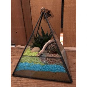 terrarium-pyramidal-8999