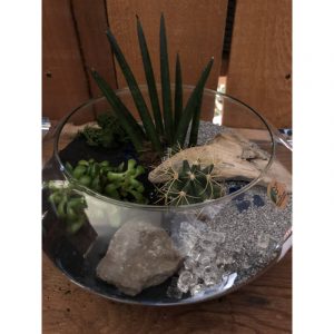 terrarium-vase-plat-5699