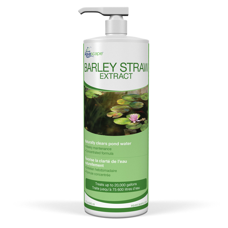 aquascape-extrait-paille-orge-32