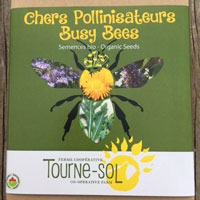 coffret-cadeau-chers-pollinisateurs
