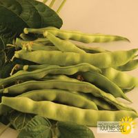 haricots-grimpants-kahnawake-mohawk