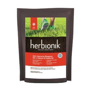 herbionik-100-paturin