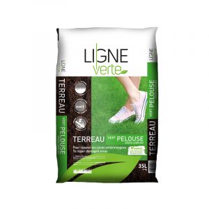 Artwork_LV_PELOUSE_35L_HiRes