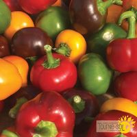 melange-de-piments-bombes