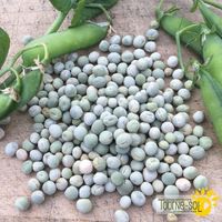 pois-a-soupe-st-hubert