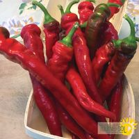 poivrons-jimmy-nardello