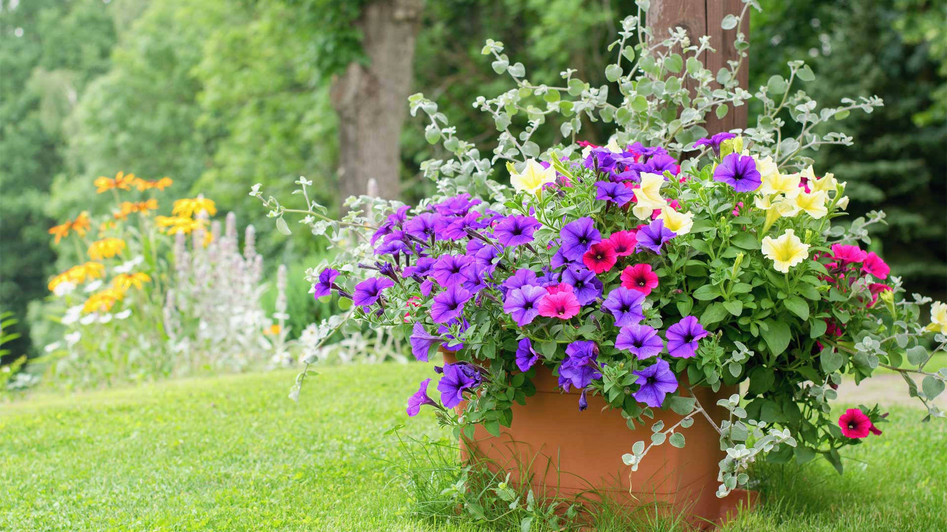 abc-une-jardiniere-reussie