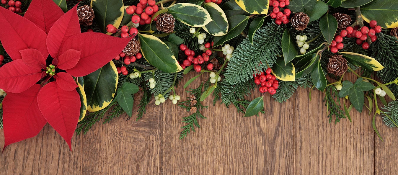 noel-vert-fleuri