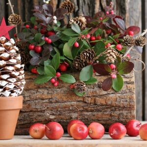 Noël