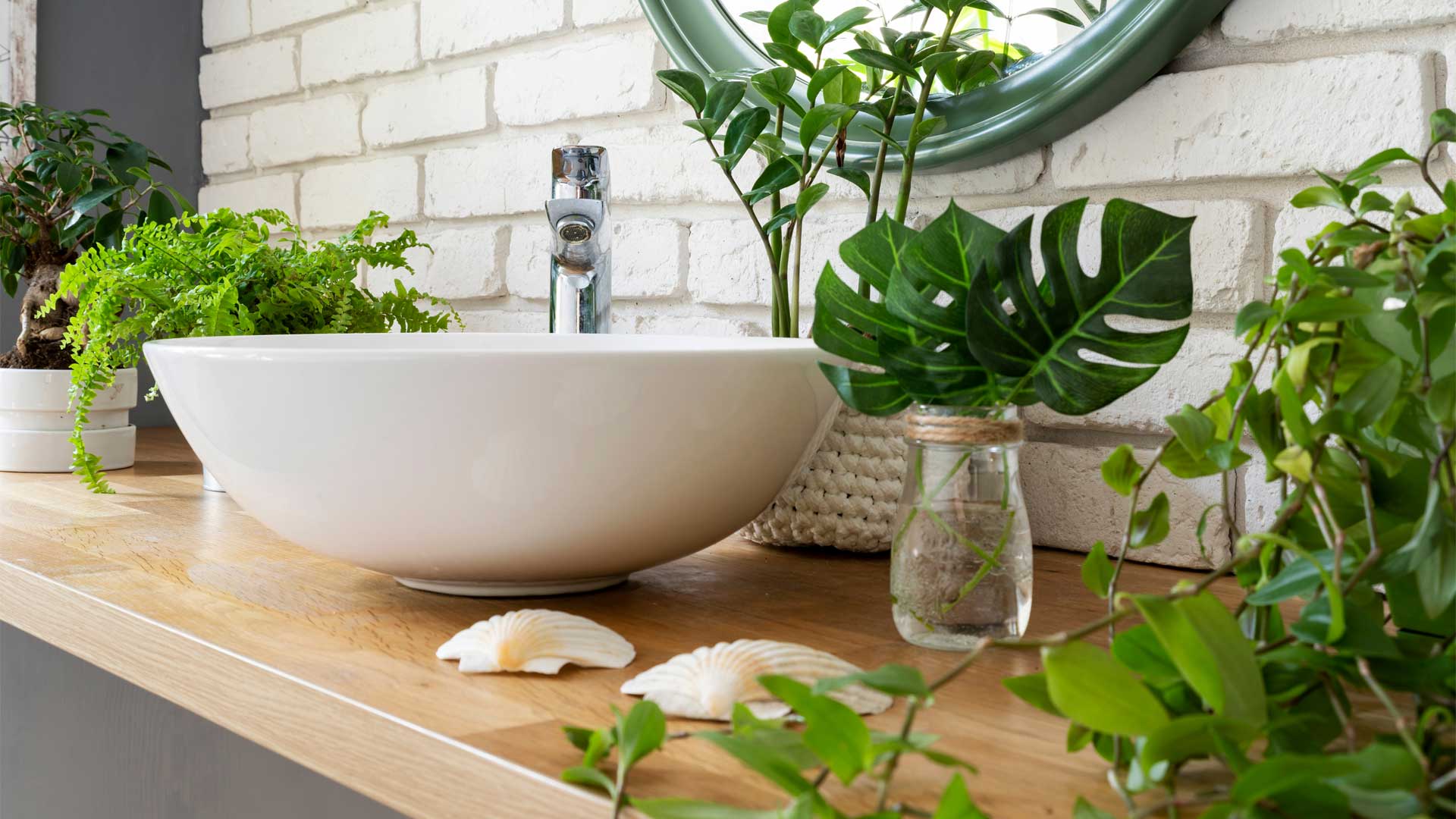 plantes-ideales-pour-salle-de-bain