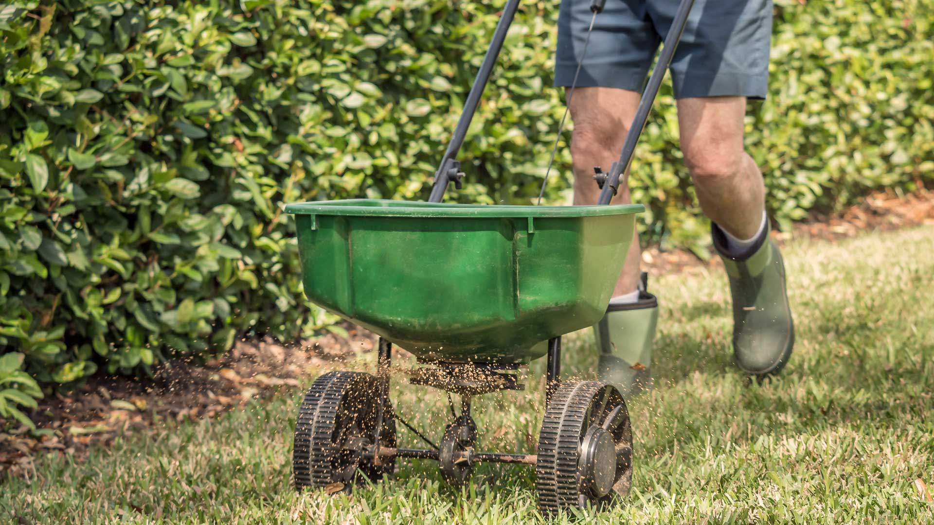 pourquoi-fertiliser-sa-pelouse