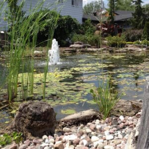 Bassins aquatiques et accessoires