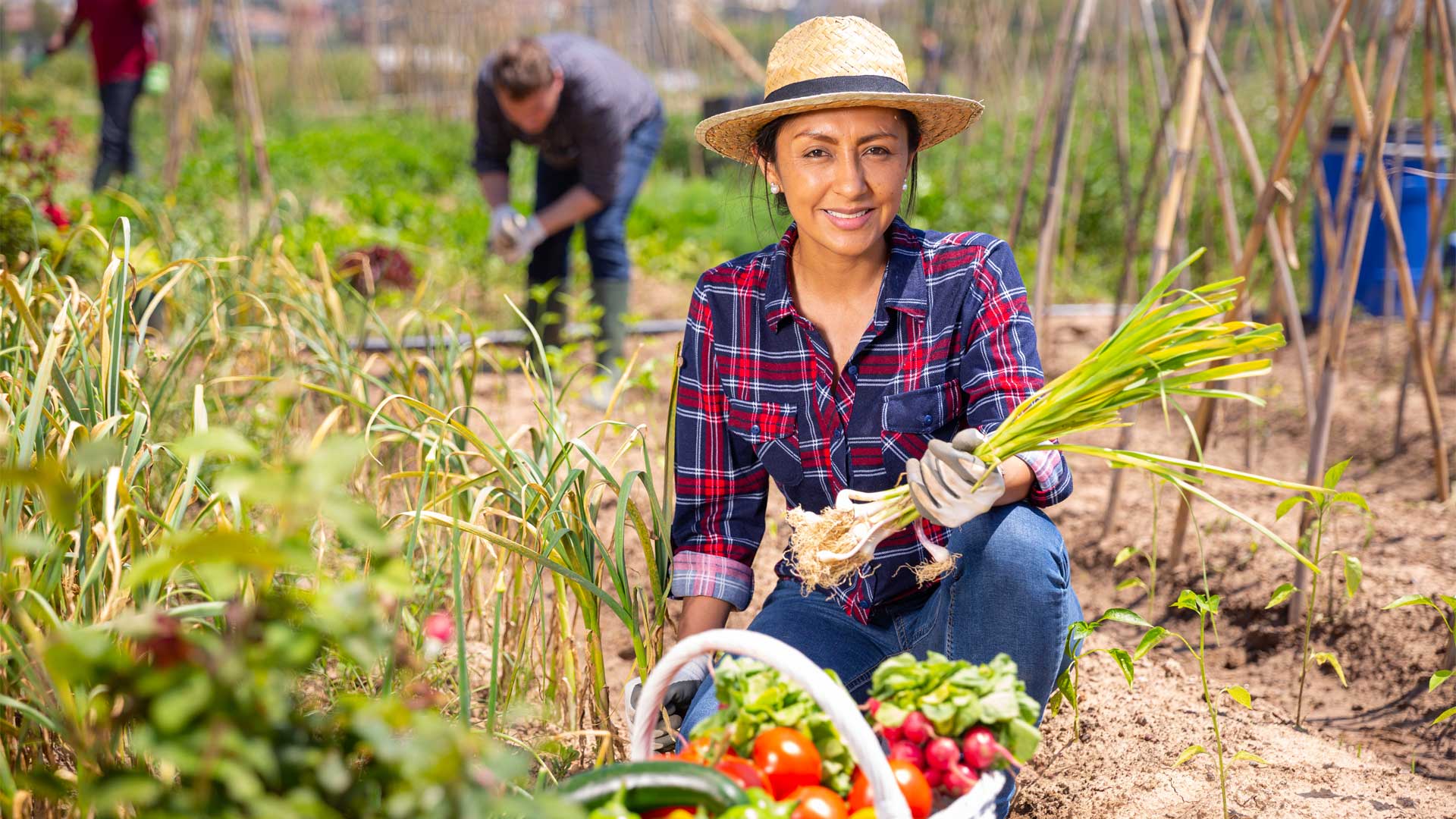 escapade-culinaire-dans-la-cours