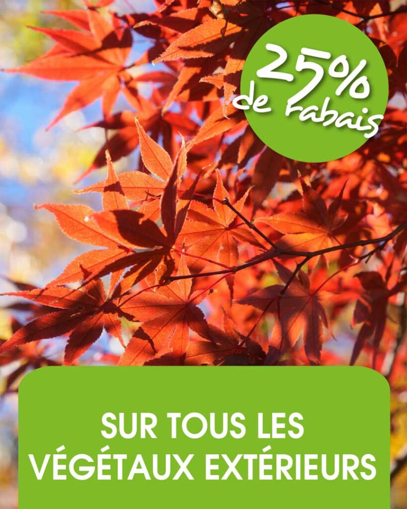 promo-vegetaux
