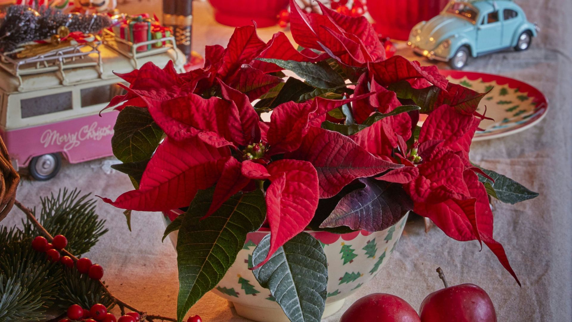 poinsettia-centre-de-table