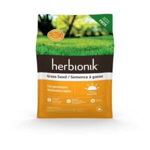 herbionik-semence-gazon-germination-rapide