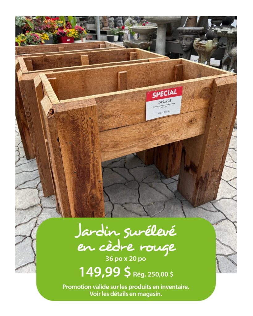 T-37562_Visuels1080x1350_JardinFougere