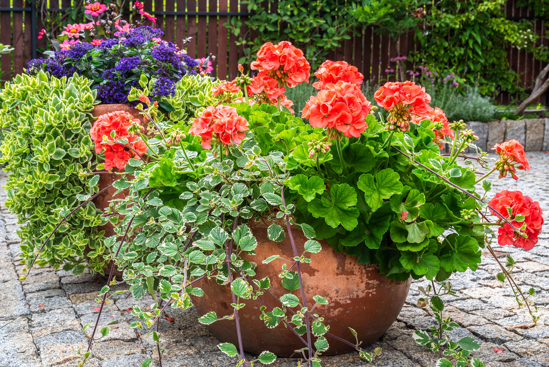 pots-de-fleurs-sur-pierre