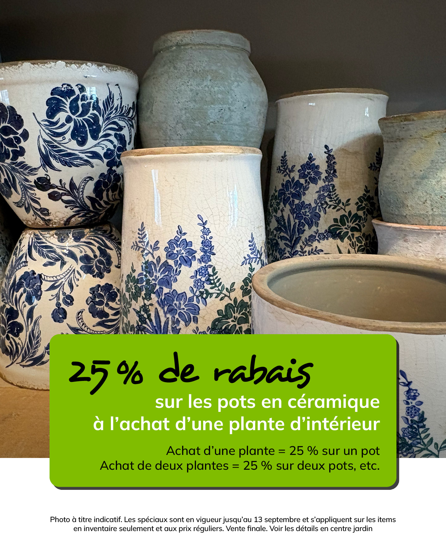 promo-28-08-2026-pots