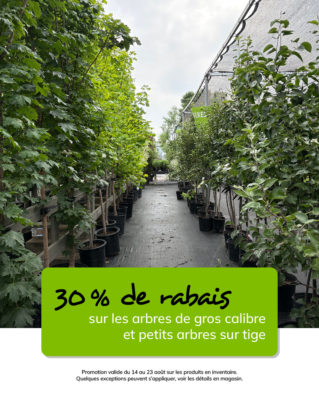 T-39444-latour-MS-promo-aout-02-1080 x 1350