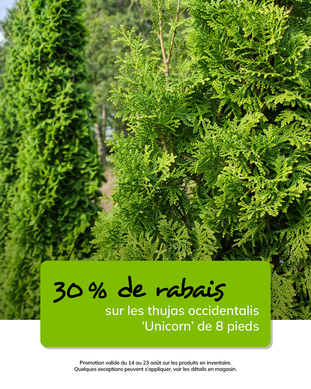 T-39444-latour-MS-promo-aout-04-1080 x 1350