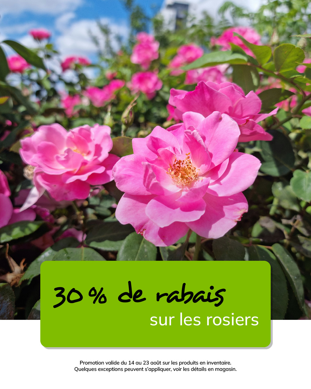 T-39444-latour-MS-promo-aout-05-1080 x 1350