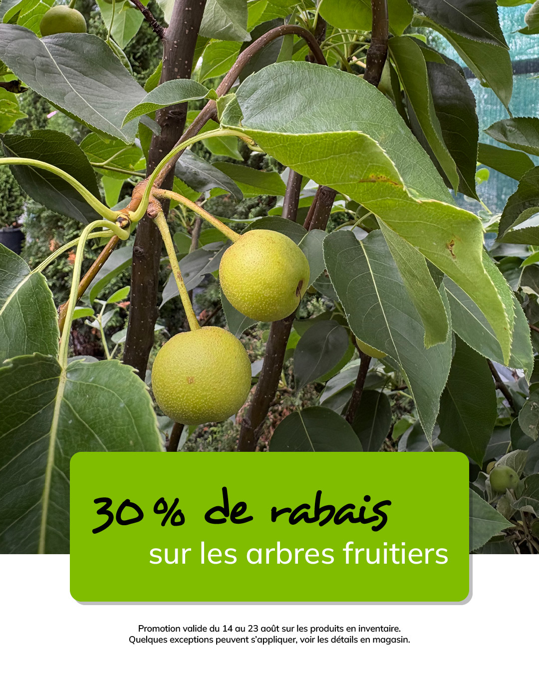 T-39444-latour-MS-promo-aout-06-1080 x 1350