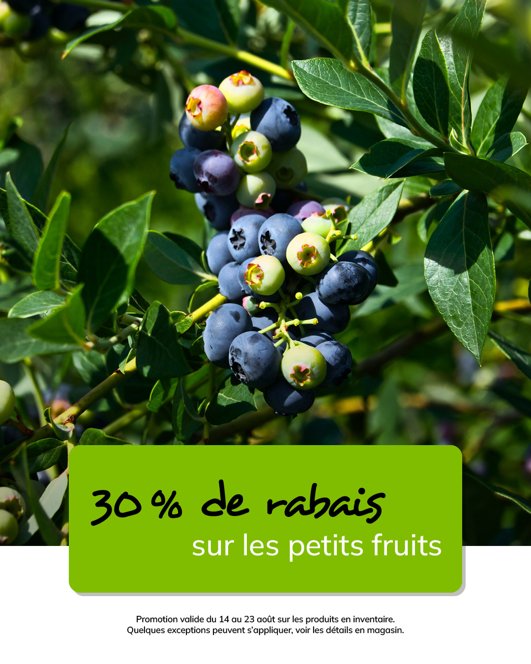 T-39444-latour-MS-promo-aout-07-1080 x 1350
