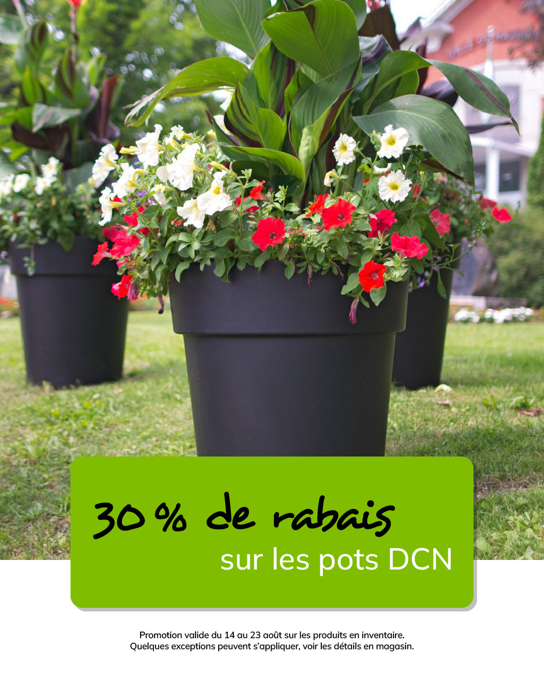 T-39444-latour-MS-promo-aout-10-1080 x 1350