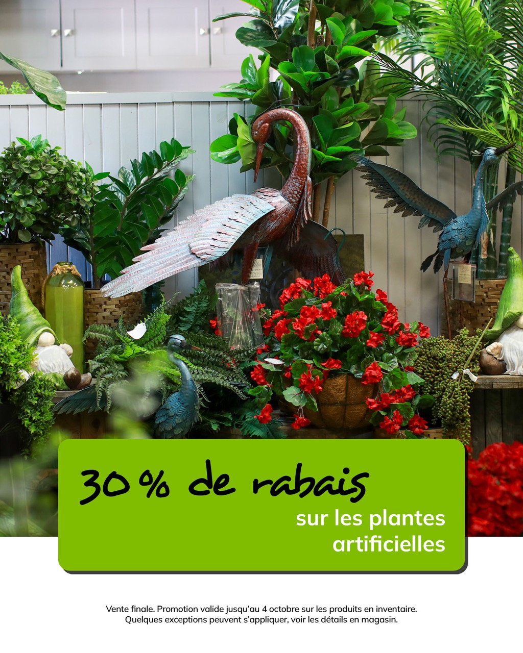 Promo-4octobre-plantes