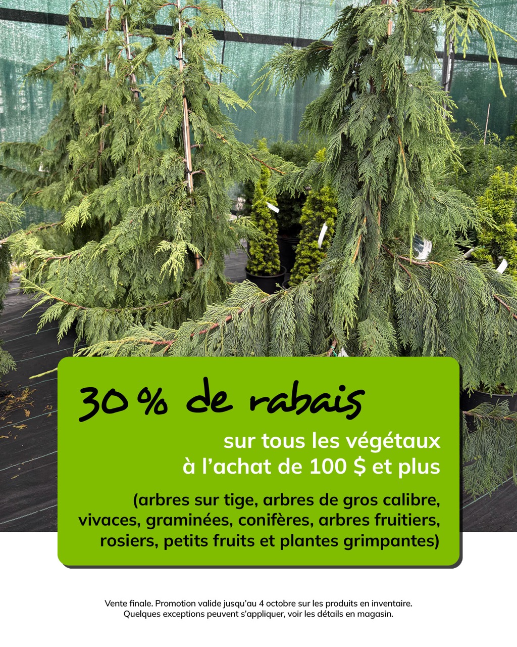 Promo-4octobre-vegetaux