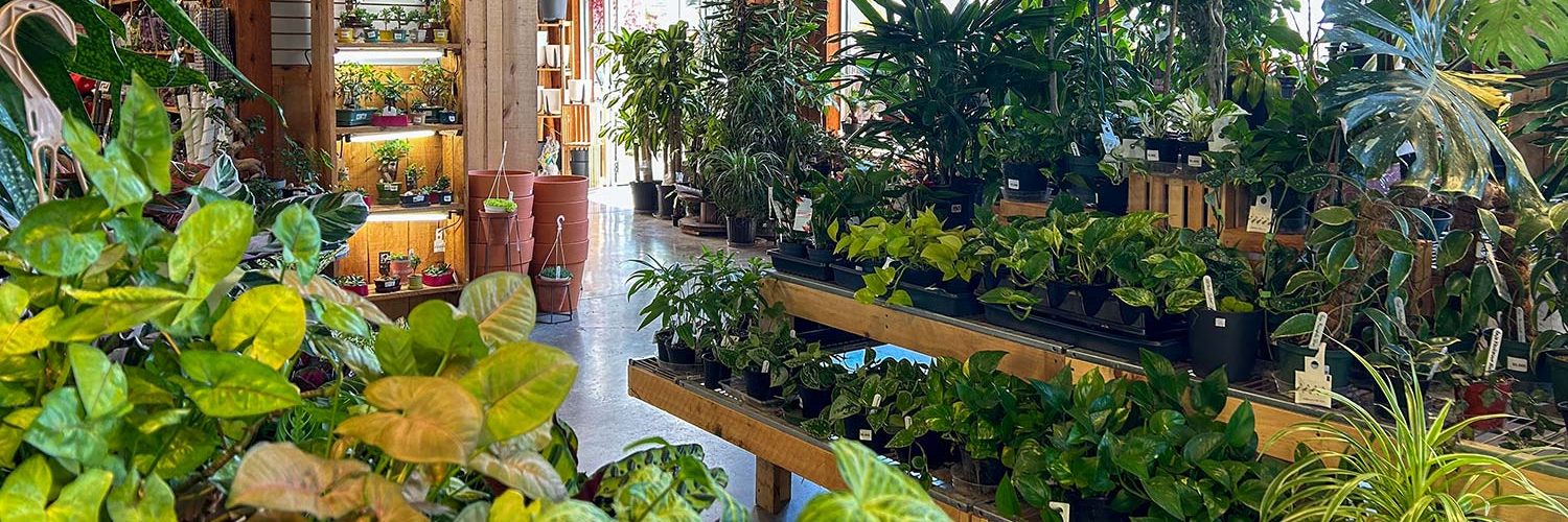 centre-jardin-latour